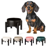 PTOBER raised ceramic dog bowl shown for comfortable elevated dining