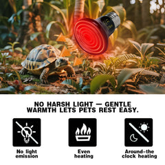 PTSCBS 2-pack reptile heat lamp offers backup for uninterrupted terrarium heating.
