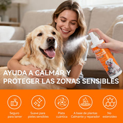 PUAINTA Hot Spot Spray packaging highlighting veterinary strength and daily-use convenience.