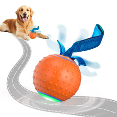 Pubialo interactive dog ball front view showing durable rolling design for independent play