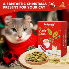 Puddonio catnip chicken-salmon flavor close-up, tasty flavors for adult cats.