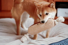 Puffy Crew 12-inch Squeaky Toy suitable for small to large dogs with safe, chew-friendly design.