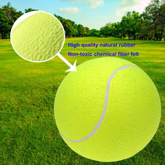 PULEEBO dog tennis ball emphasizing durable material for rough play