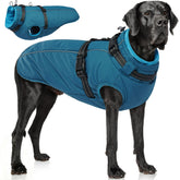PUMYPOREITY dog jacket with built-in harness blue XL on a large dog for safe outdoor walks.