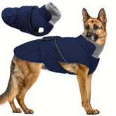 Pumyoreity warm dog jacket overview showcases cozy insulation for chilly strolls.