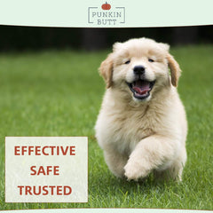 Punkin Butt teething oil ingredients highlight organic herbs infused in sunflower oil.