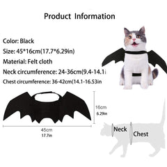 Puoyis cat Halloween costume bat wings worn during play and photos.