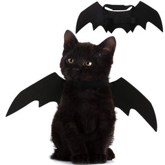 Puoyis pet cat bat wings with adjustable fit for comfy Halloween wear.