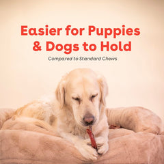 Pupford Bully Stick Rings product aiding dental health via chewing.