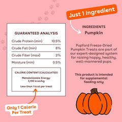 Pupford Freeze Dried Pumpkin Treats close-up shows bite-sized pieces ideal for quick rewards during training.