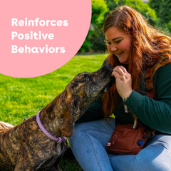 Pupford Freeze Dried Training Treats texture close-up highlighting crisp bite for quick rewards