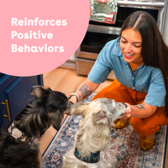 Pupford Freeze Dried Treats pocket-size for on-the-go training sessions