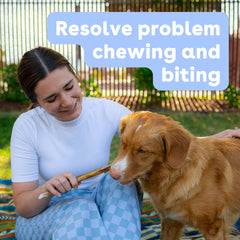 Pupford Thick Bully Sticks natural single-ingredient chew with no additives.