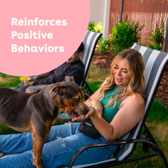 Pupford training rewards in hand ready for short sessions.