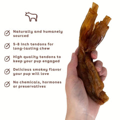 Pupford Turbo Beef Tendon Chews textured surface emphasizes dental-cleaning potential during chews.