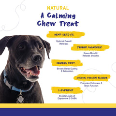 PupGrade Calming Chews serving dish showing bite-sized chews for daily relaxation.