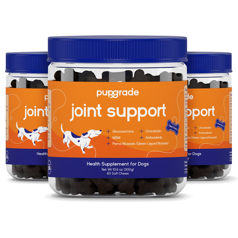 PupGrade joint support supplement bottle front showing premium hip care for active dogs