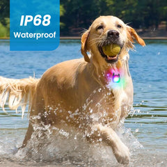 PUPKOLI bright LED dog light delivers over 80 lumens for safer night runs.