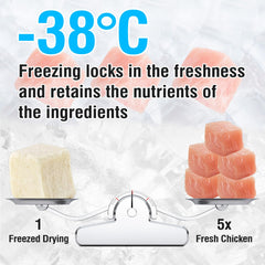 PuPoPan freeze-dried chicken cubes close-up showing bite-sized protein-rich texture.