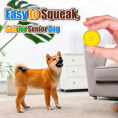PUPATTIC flat 2.2-inch ball ideal for indoor fetch