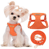 Puppytie No Pull XS harness front view showing secure escape-proof fit for small dogs during walks