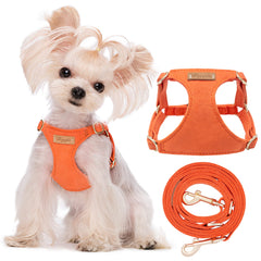 Puppytie No Pull XS harness front view showing secure escape-proof fit for small dogs during walks