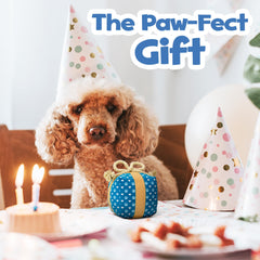 PUPROAR gift box dog toy crinkle texture highlights sensory stimulation during fun sessions.