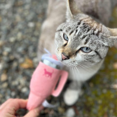PUPROAR Kitty Cup catnip toy—crinkle paper interior provides scent, sound, and texture intrigue