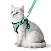PUPTECK cat harness Aquamarine close-up shows soft breathable mesh for comfortable wear.