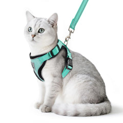 PUPTECK cat harness Aquamarine close-up shows soft breathable mesh for comfortable wear.