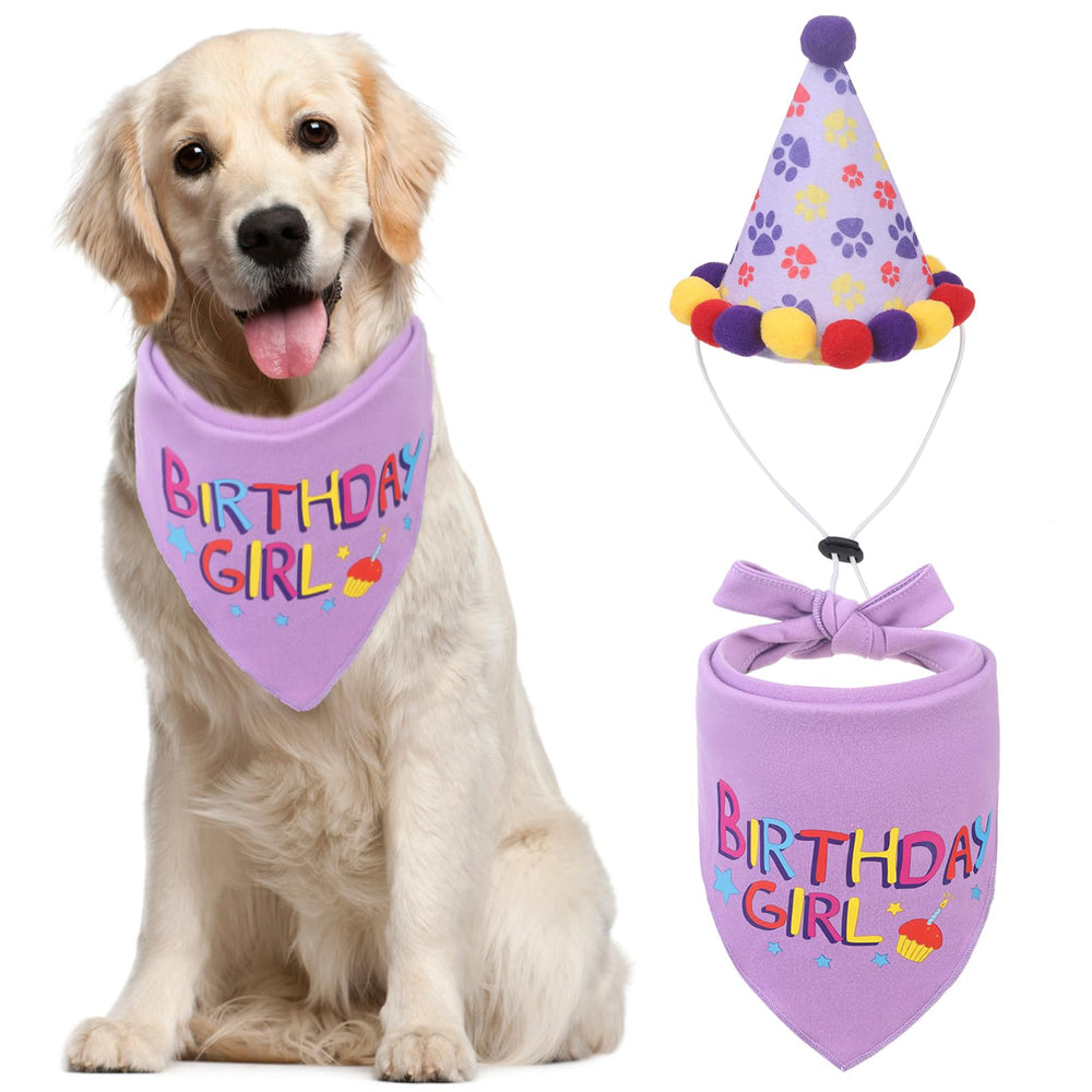 PUPTECK dog birthday bandana purple on a small dog for cute party look