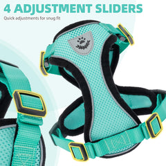 PUPTECK size chart close-up helps you pick the right fit for growing cats.