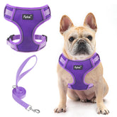 PUPTECK small dog harness demonstrates lightweight daily comfort for walks.