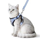 PUPTECK cat harness sky blue on cat for safe outdoor walks