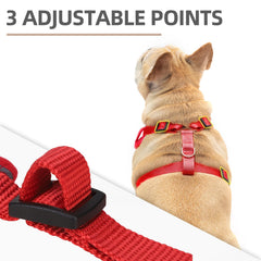 PUPTECK Christmas harness side view showing adjustable neck and chest fit