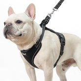 PUPTECK dog harness small front view showing comfortable, no-pull design for everyday walks.