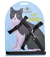 PUPTECK adjustable cat harness demonstrates secure fit for outdoor exploration.