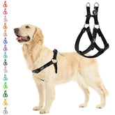 PUPTECK arnés sin tirones para paseos cómodos y controlados.