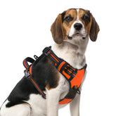 Arnés sin tirones PUPTECK con enfoque frontal para paseos tranquilos.
