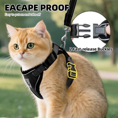 PUPTECK four-point adjustable harness ensures a secure, comfortable fit