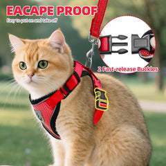 PUPTECK reflective strip harness aids night safety during dusk strolls.