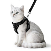 PUPTECK cat harness with reflective strips for safer evening walks.