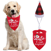PUPTECK dog Christmas bandana and Santa hat on, festive photo-ready look.