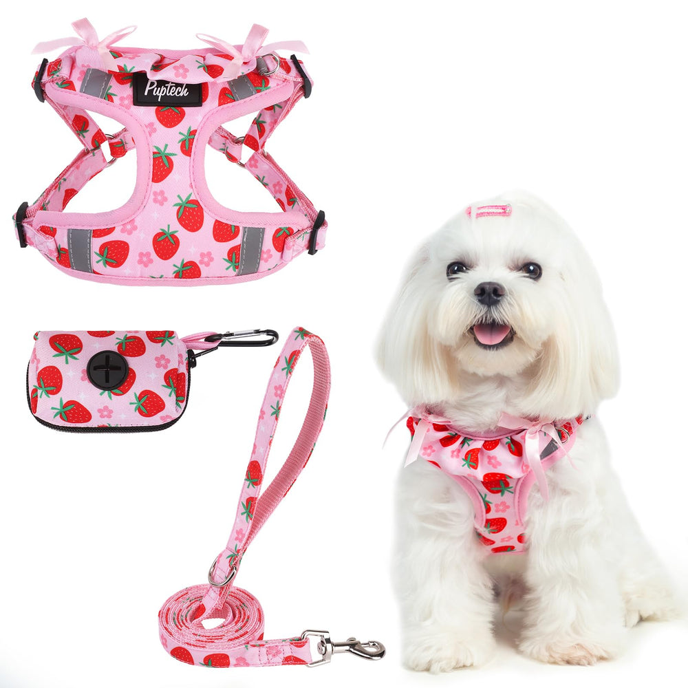 PUPTECK dog harness small front view shows breathable mesh for comfort.