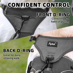 PUPTECK escape-proof harness back clip for daily walking and smooth movement