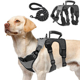 PUPTECK escape-proof harness front clip training for no-pull control during walks