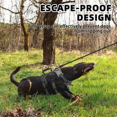 PUPTECK escape-proof harness reflective strips for visible night safety