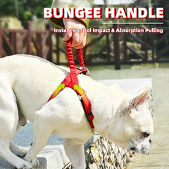 PUPTECK No Pull Harness reflective stitching boosts visibility at dusk