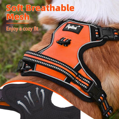 PUPTECK No Pull Harness reflective strips boost visibility in low light.