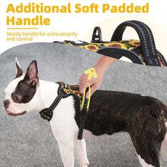 PUPTECK XL back D-ring harness for relaxed, secure movement